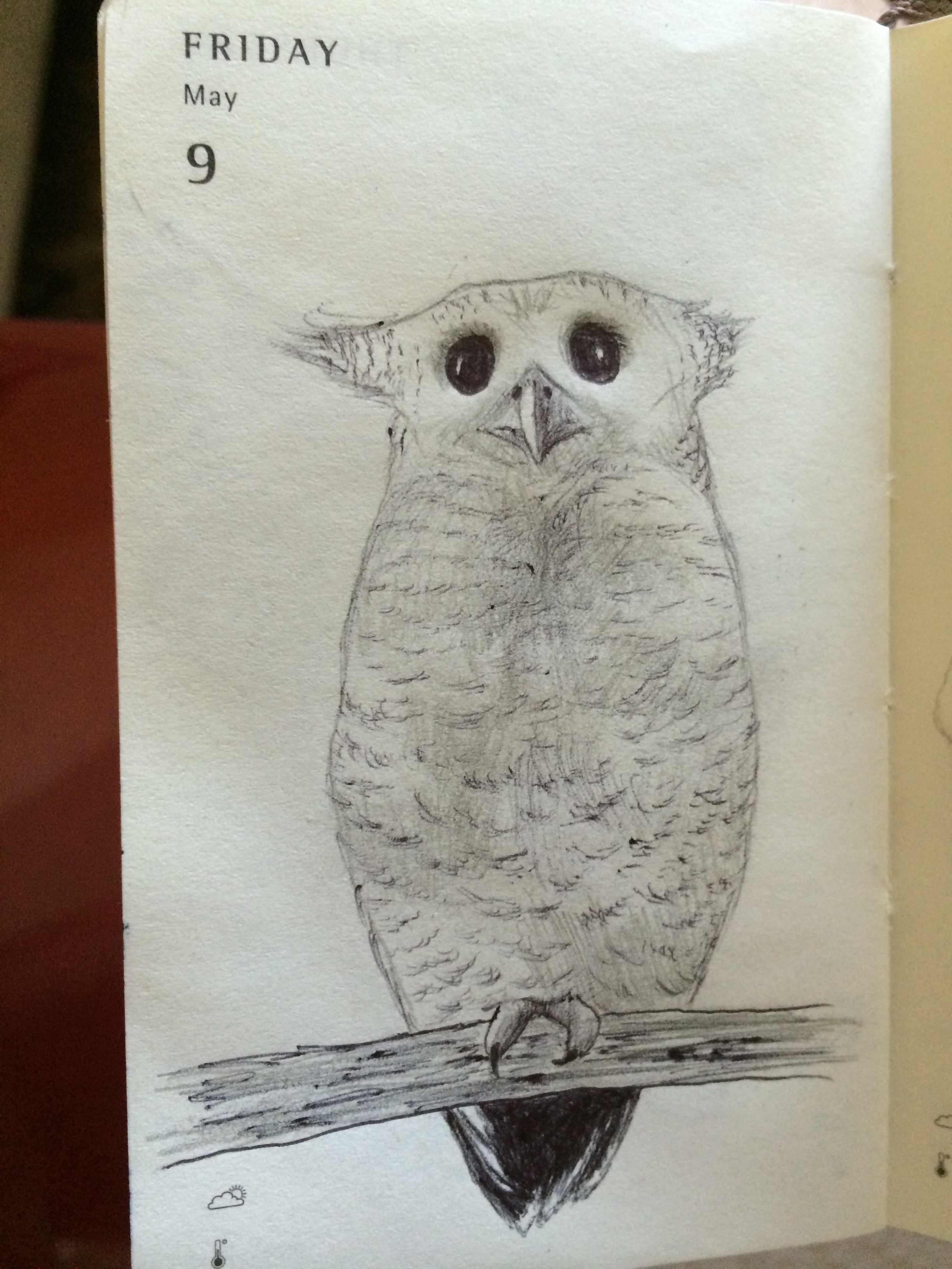 Mystery Owl