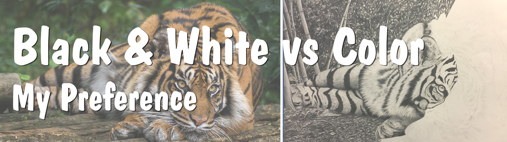 Black and White vs Color